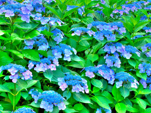 397962 (a): :1600x1200
